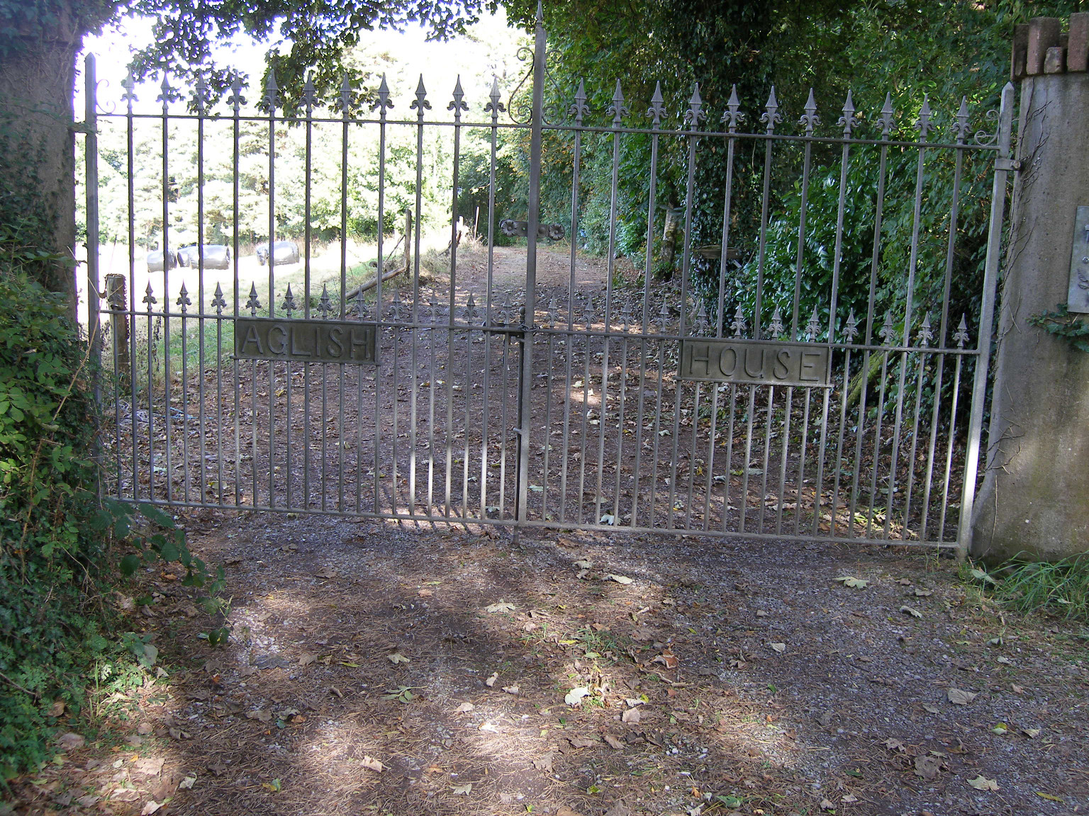 Aglish gates